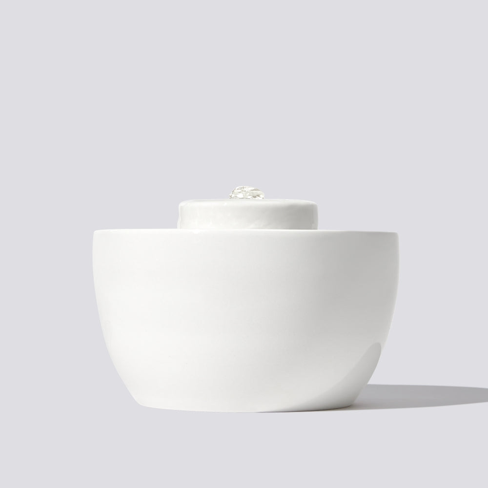 DUIT Duit Wave Pot Cat Dog Ceramic Water Feeder A Type